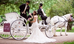 cropped-august17bridal-70_web.jpg