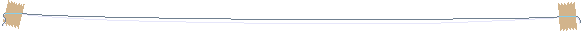 _________________________